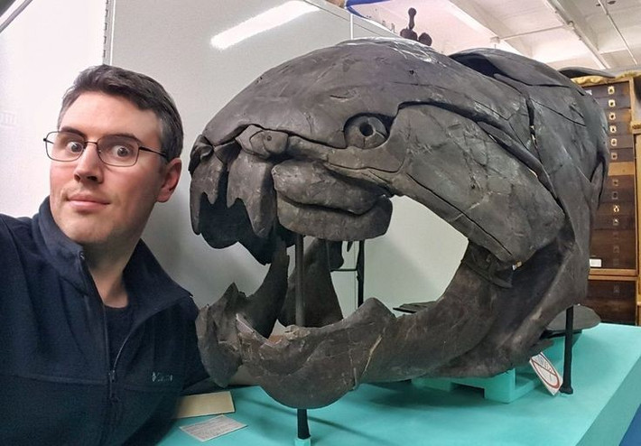5. Giáp đầu dày và nặng. Phần đầu và ngực của Dunkleosteus được bọc giáp xương dày, giúp bảo vệ nó khỏi các đòn tấn công và hỗ trợ trong săn mồi. Ảnh: Pinterest.