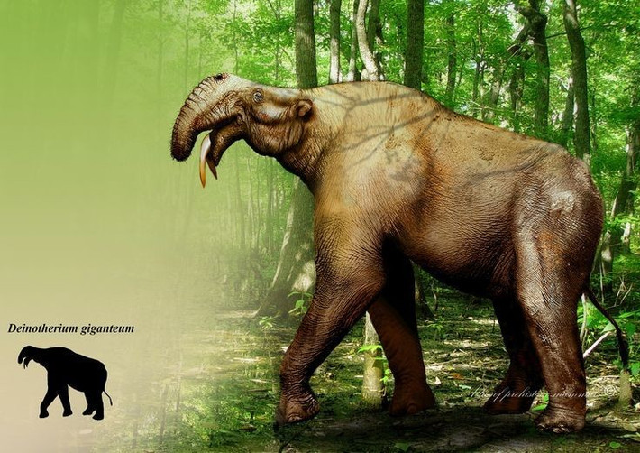 5. Thích nghi với môi trường rừng và đồng cỏ. Deinotherium thường sống ở các khu vực rừng rậm và đồng cỏ mở, nơi có nguồn thức ăn dồi dào quanh năm. Ảnh: Pinterest.
