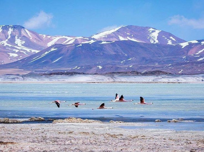 8. Có cánh đồng muối rộng lớn tuyệt đẹp. Salar de Atacama là đồng muối lớn nhất Chile, nổi bật với màu trắng lóa mắt, hồ nước xanh ngọc và chim hồng hạc sinh sống quanh năm. Ảnh: Pinterest.
