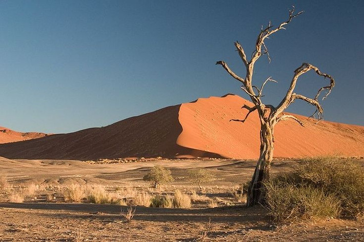 3. Nơi có những đụn cát cao nhất thế giới. Đụn cát Dune 7 ở sa mạc Namib cao tới khoảng 383 mét, là một trong những đụn cát cao nhất từng được ghi nhận. Ảnh: Pinterest.