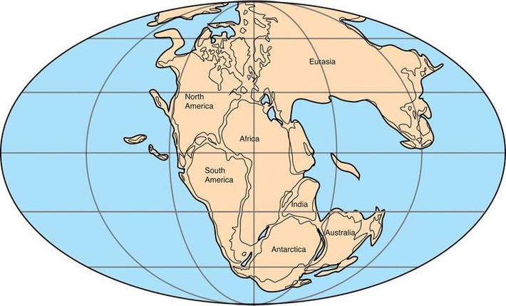 4. Khí hậu của Pangea cực kỳ khắc nghiệt. Do diện tích đất liền quá lớn và ít ảnh hưởng điều hòa từ đại dương, Pangea có khí hậu khô nóng, sa mạc rộng lớn và biến động thời tiết cực đoan. Ảnh: Pinterest.