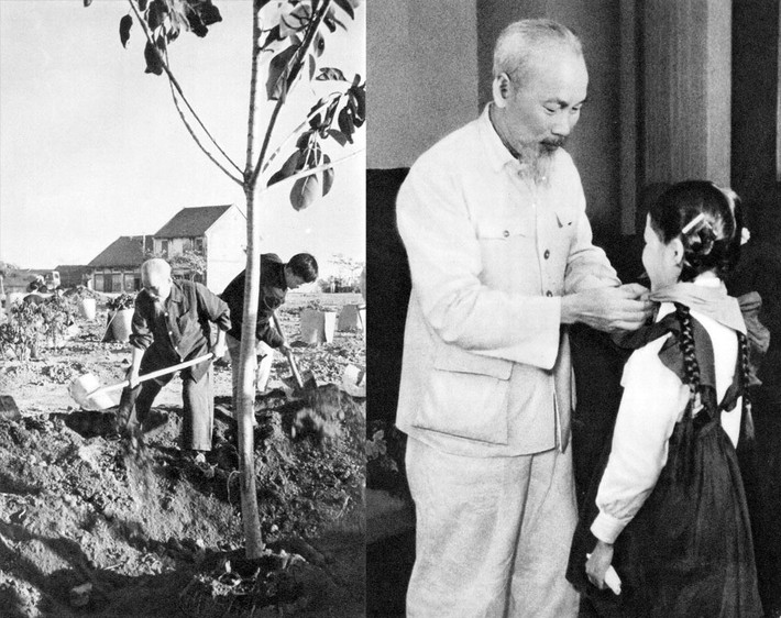Lời Hồ Chủ tịch: “Vì lợi ích mười năm phải trồng cây. Vì lợi ích trăm năm phải trồng người”.