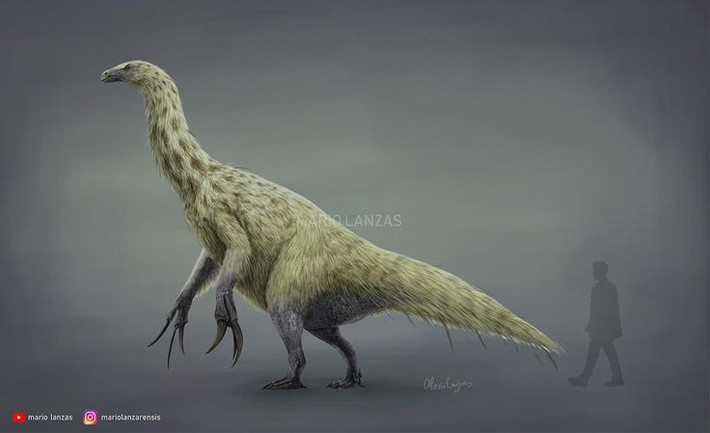 3. Có cơ thể giống chim khổng lồ. Therizinosaurus thuộc nhóm Theropoda – nhóm khủng long có họ hàng gần với chim – với xương rỗng, lông vũ bao phủ và dáng đi bằng hai chân. Ảnh: Pinterest.
