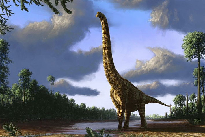 1. Là một trong những loài khủng long cao nhất từng được phát hiện. Brachiosaurus có thể cao đến 13 mét, với phần cổ chiếm phần lớn chiều cao, giúp nó dễ dàng tiếp cận tán lá cao mà ít loài nào với tới. Ảnh: Pinterest.