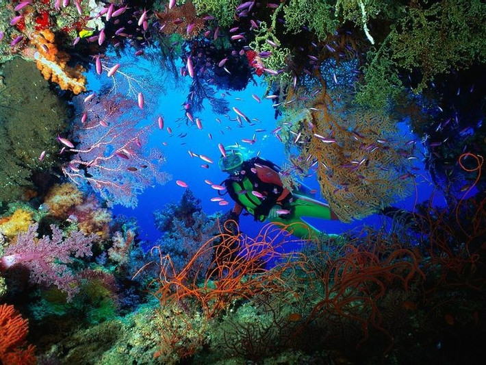 UNESCO công nhận là Di sản Thế giới. Rạn san hô Belize được UNESCO ghi danh vào năm 1996 nhờ giá trị sinh thái và cảnh quan biển độc đáo. Ảnh: Pinterest.