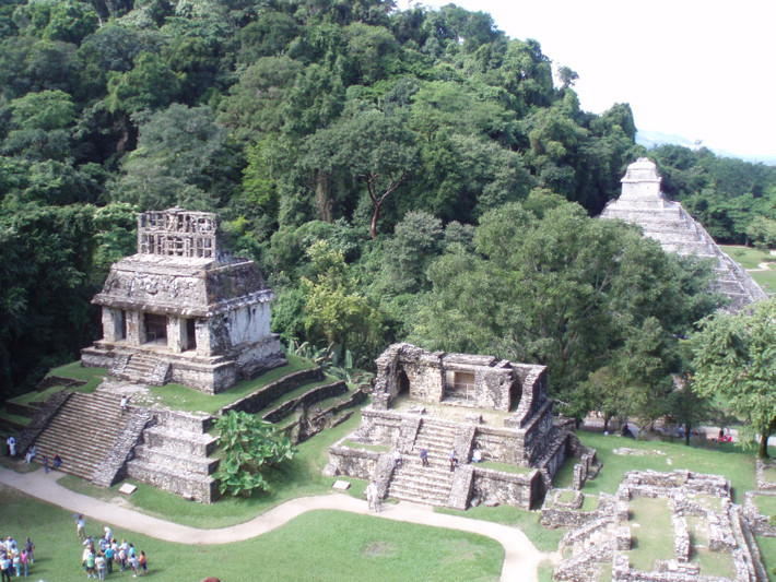 Những thành phố bị nuốt chửng trong rừng rậm. Các đô thị lớn như Tikal, Palenque và Copán từng sầm uất nhưng rồi biến mất không dấu vết trong rừng sâu. Nhiều tàn tích chỉ mới được phát hiện gần đây nhờ công nghệ Lidar xuyên tán cây. Ảnh: Pinterest.