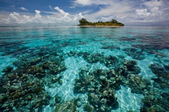 Rạn san hô Belize đóng vai trò bảo vệ bờ biển. Hệ thống san hô giúp giảm tác động của sóng lớn và bão, bảo vệ đất liền khỏi xói mòn. Ảnh: Pinterest.