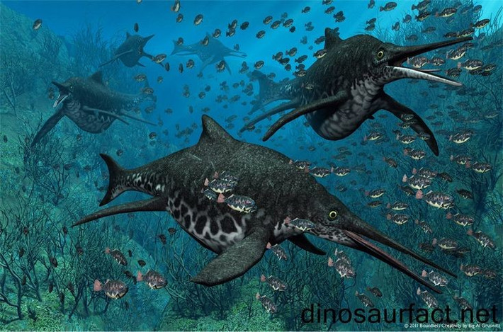 Sống cách đây khoảng 210 triệu năm. Chúng xuất hiện vào cuối kỷ Triassic, trước khi đại dương thế giới thay đổi mạnh mẽ. Ảnh: Pinterest.