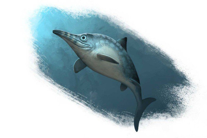 8. Truyền cảm hứng văn hóa đại chúng. Hình ảnh Ichthyosaurus xuất hiện trong nhiều sách, phim và tranh minh họa về thời tiền sử. Ảnh: Pinterest.