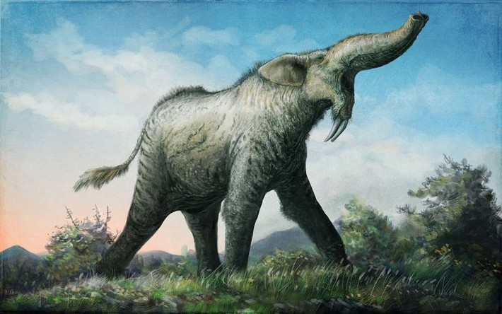 7. Hóa thạch phân bố rộng. Hóa thạch Deinotherium được tìm thấy ở châu Phi, châu Á và châu Âu, cho thấy chúng từng có phạm vi sinh sống rộng lớn. Ảnh: Pinterest.