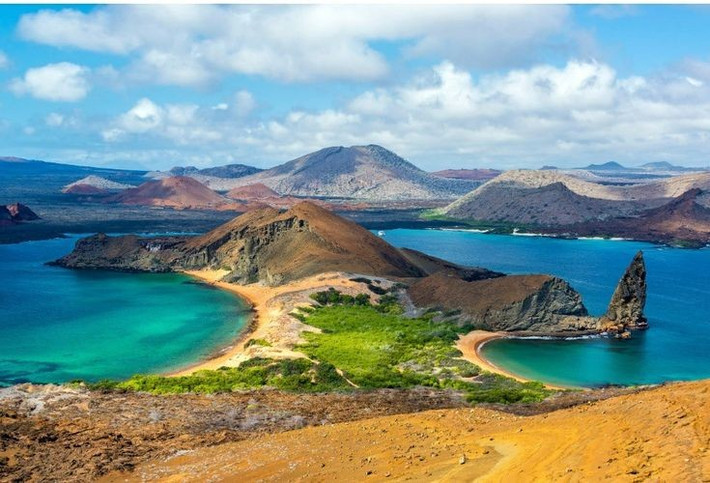 1. Galápagos là nơi khai sinh ra thuyết tiến hóa của Darwin. Chuyến đi đến quần đảo này vào năm 1835 đã giúp Charles Darwin quan sát sự khác biệt giữa các loài và phát triển lý thuyết nổi tiếng về chọn lọc tự nhiên. Ảnh: Pinterest.
