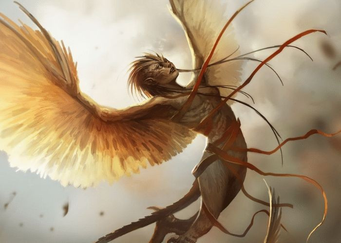 7. Các anh hùng Hy Lạp từng đối đầu với Harpy. Trong hành trình của Jason và Argonauts, hai người anh hùng Boreads đã xua đuổi Harpy khỏi Phineas và nhận được lời tiên tri. Ảnh: Pinterest.