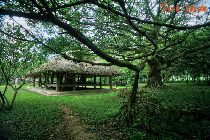 Vào ngày 16/8/1945, trong bầu khí cách mạng hết sức khẩn trương, Quốc dân đại hội do Trung ương Đảng chủ trì đã khai mạc tại đình Tân Trào. Đại hội quy tụ hơn 60 đại biểu từ khắp ba miền Bắc, Trung, Nam và cả kiều bào ở Thái Lan và Lào về tham dự.
