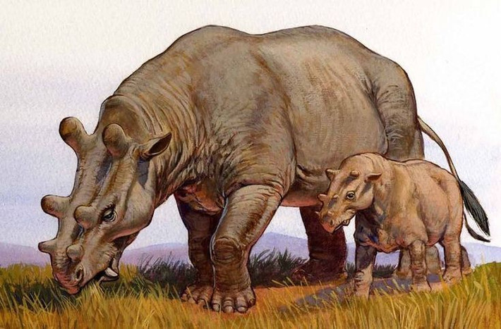 7. Hóa thạch của chúng được phát hiện chủ yếu ở Bắc Mỹ. Hóa thạch Uintatherium được tìm thấy ở Wyoming và Utah, gợi ý về hệ sinh thái phong phú ở lục địa này vào thời hàng chục triệu năm trước. Ảnh: Pinterest.
