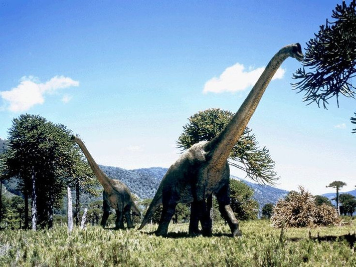 8. Được giới thiệu rộng rãi qua loạt phim "Jurassic Park". Sự xuất hiện ấn tượng của Brachiosaurus trong bộ phim kinh điển năm 1993 đã giúp loài khủng long này trở thành hình ảnh biểu tượng trong văn hóa đại chúng. Ảnh: Pinterest.
