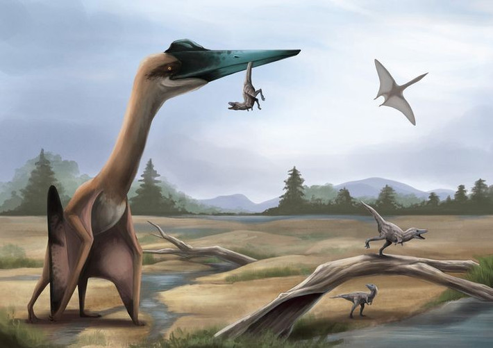 5. Là động vật ăn thịt cơ hội. Nhiều giả thuyết cho rằng Quetzalcoatlus ăn xác thối hoặc săn các loài động vật nhỏ dưới mặt đất. Ảnh: Pinterest.