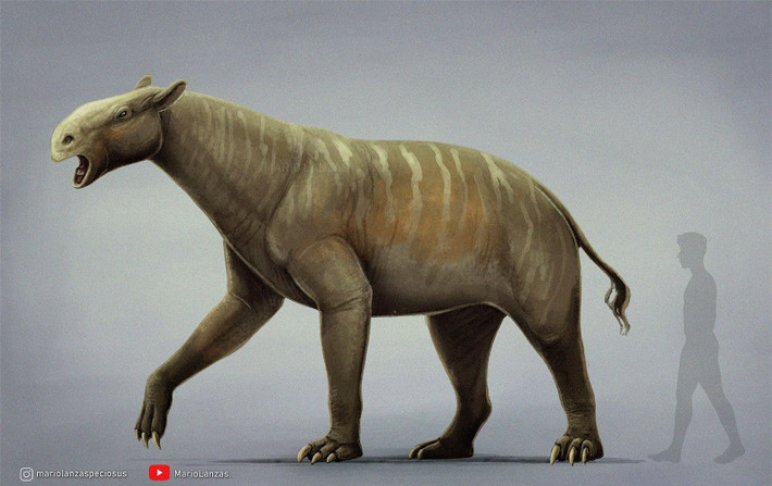 8. Là một nhánh tiến hóa độc lập đã tuyệt chủng hoàn toàn. Chalicotherium không có hậu duệ hiện đại và là ví dụ độc đáo về sự đa dạng sinh học trong lịch sử tiến hóa của thú móng guốc. Ảnh: Pinterest.