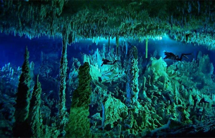 5. Có các tầng thạch nhũ dưới nước cực kỳ hiếm gặp. Dưới độ sâu hơn 40 mét, thợ lặn có thể quan sát các cột thạch nhũ hình thành từ thời hố còn là hang động khô – một minh chứng địa chất quý giá. Ảnh: Pinterest.