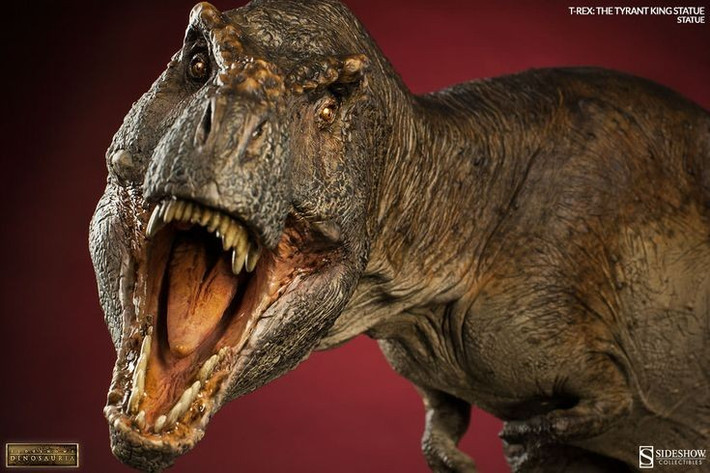 7. Có thể có lông vũ. Một số bằng chứng hóa thạch cho thấy T. rex, đặc biệt là khi còn non, có thể được bao phủ một phần bởi lớp lông vũ. Ảnh: Pinterest.