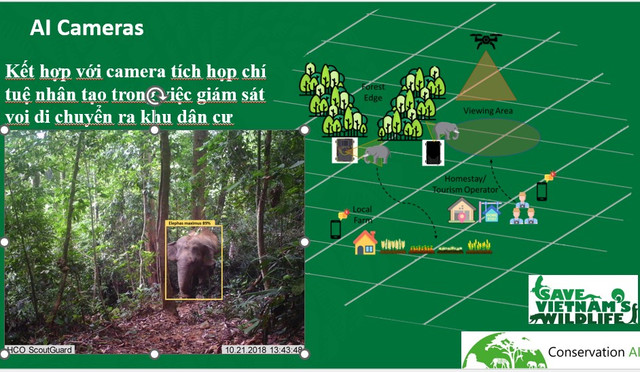 Sử dụng máy bay không người lái để theo dõi voi. Ảnh: NVCC. te-te-6.png