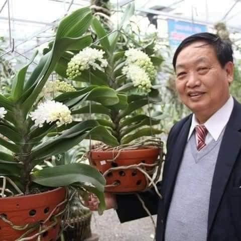 GS.TSKH Trần Duy Quý có tình yêu đặc biệt với hoa lan. tran-duy-quy.jpg