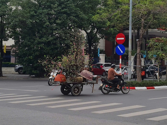 Với nhiều người dân Hà Nội, xe máy xăng không chỉ là phương tiện đi lại, mà còn là mưu sinh. Ảnh: Mai Loan. 2.jpg