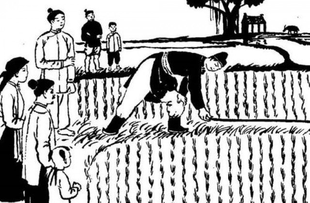 Thần đồng toán học Vũ Hữu đã xây thành không thừa, thiếu một viên. Ảnh minh họa. vu-huu-1.jpg