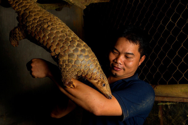Thạc sĩ Nguyễn Văn Thái, Giám đốc Trung tâm Bảo tồn Động vật hoang dã Việt Nam (Save Vietnam's Wildlife - SVW). thai-te-te.jpg