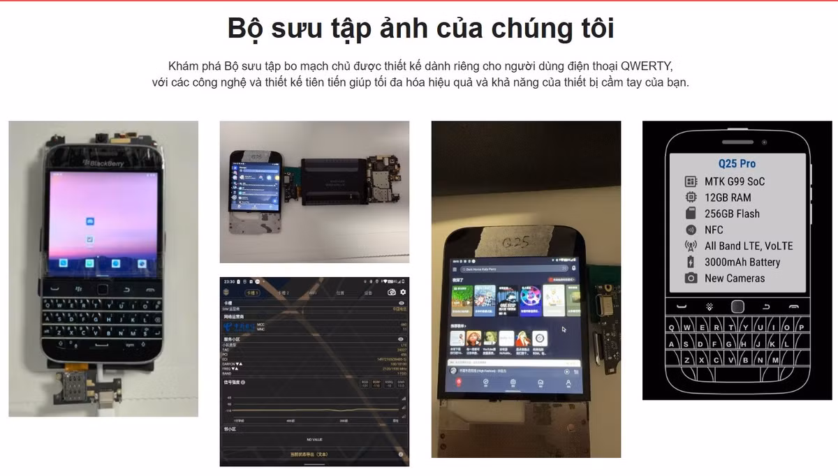 bb.jpg