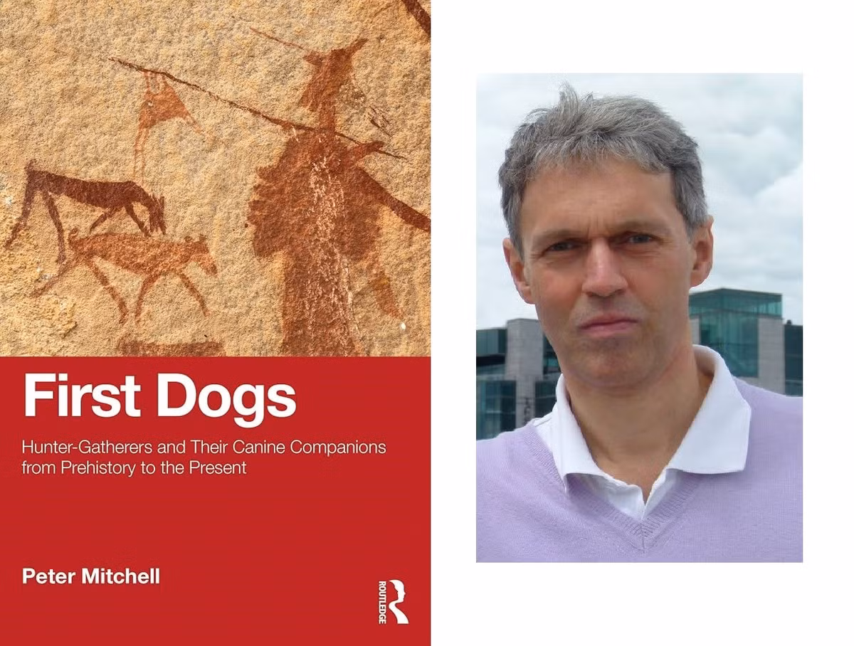 91jzqxisbl-ac-uf8941000-ql80.jpg
