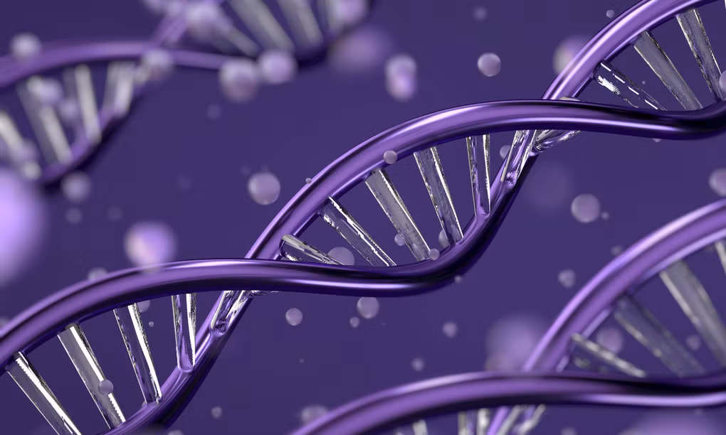Các tế bào tổng hợp có khả năng tự nhân lên DNA và phân chia tế bào. Ảnh: Pexels