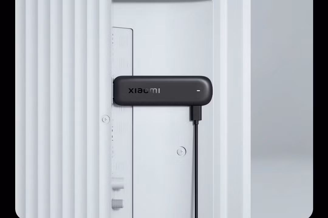 Google Assistant tích hợp sẵn, hỗ trợ tìm kiếm bằng giọng nói, điều khiển ứng dụng và ra lệnh nhà thông minh qua nút chuyên dụng trên điều khiển từ xa.