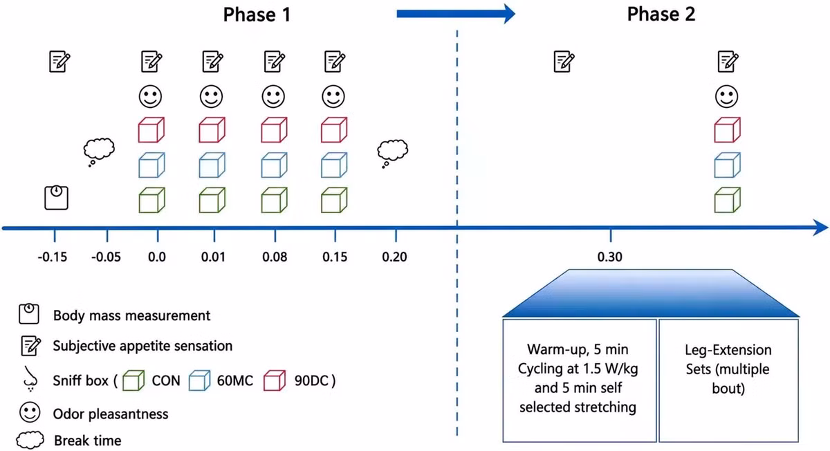 fphys-17-1834757-g001.jpg