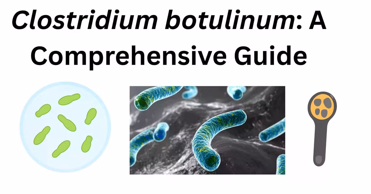 clostridium-botulinum.jpg