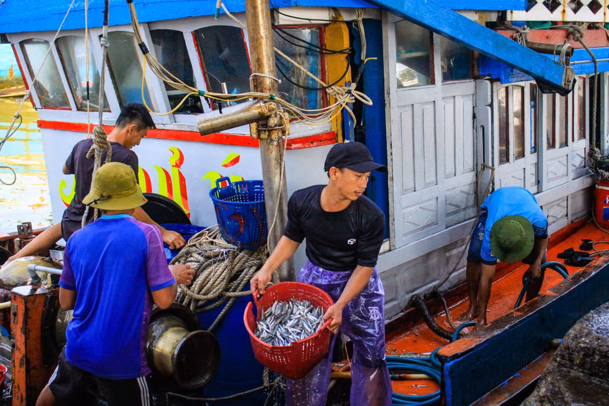 Với ngư dân, chuyến ra khơi đầu năm không chỉ mang ý nghĩa mưu sinh mà còn là “lấy lộc biển”, cầu mong một năm thuận buồm xuôi gió.