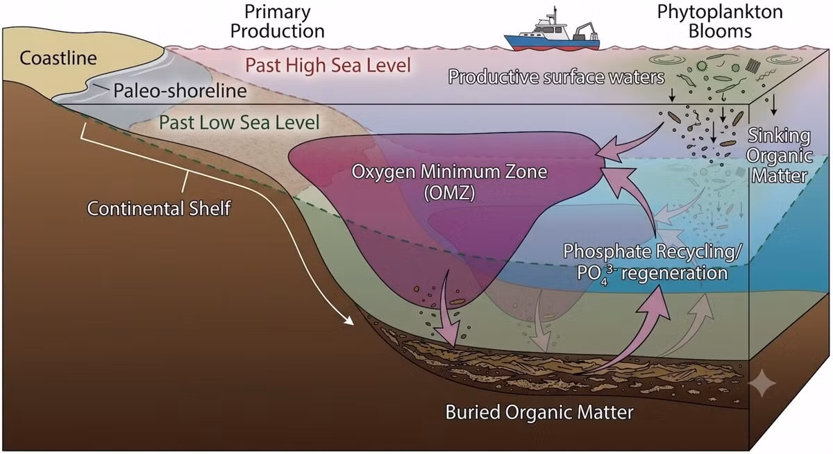 study-links-sea-level.jpg