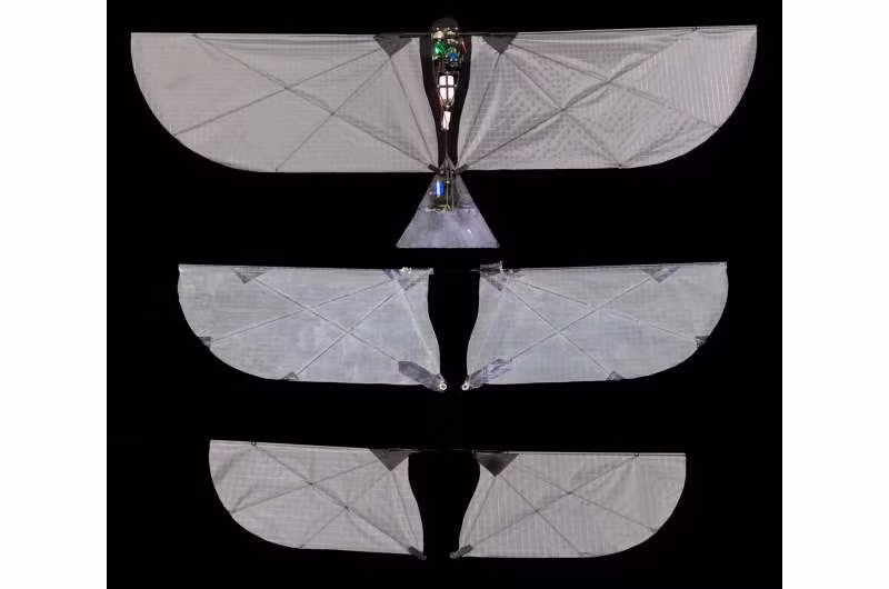 new-flapping-robot-swi-2-1.jpg