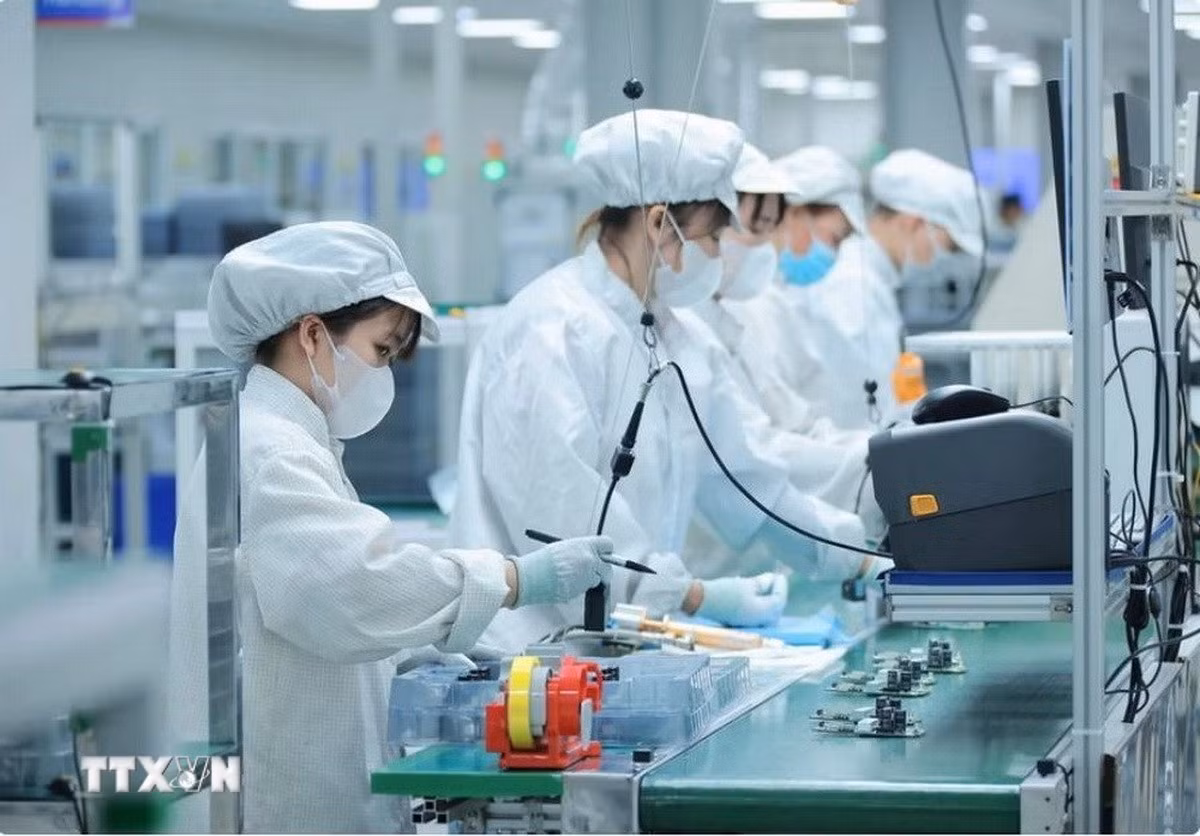 Việt Nam đã và đang triển khai chiến lược đào tạo nhân lực chất lượng cao ngành công nghiệp bán dẫn. (Ảnh: Hoàng Hiếu/TTXVN)