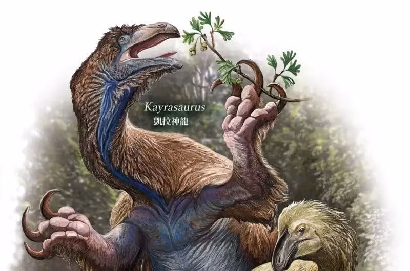 Tạo hình loài khủng long Kayrasaurus changliensis mới phát hiện.