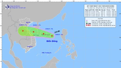 Áp thấp nhiệt đới giật cấp 9, di chuyển nhanh hướng về miền Trung
