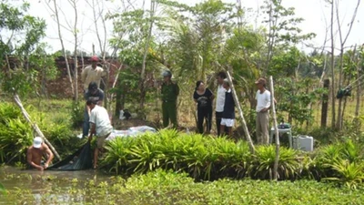 Tin người, cô gái trẻ xinh đẹp chết thảm dưới tay gã hàng xóm