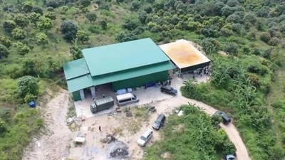 Bí ẩn rợn người đằng sau trang trại nuôi cá cảnh