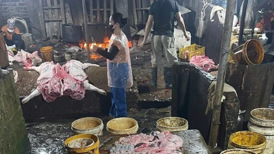 Phát hiện cơ sở giết mổ gần 3 tấn thịt lợn nhiễm dịch tả