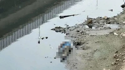 Phát hiện thi thể người đàn ông trên sông Tô Lịch
