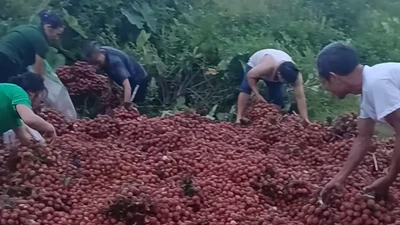 Sự thật đằng sau vụ xe gặp nạn, 4 tấn vải bị nhặt gần hết