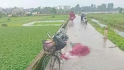 Người phụ nữ ở Hà Nội tử vong nghi bị sét đánh