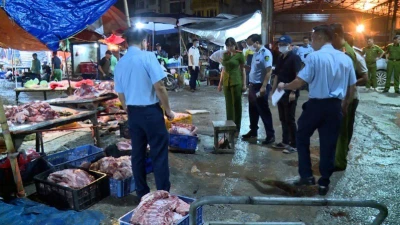 Hãi hùng lời khai các đối tượng giết mổ, tiêu thụ thịt lợn chết