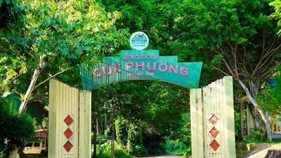 Tìm thấy thi thể nam du khách mất tích trong rừng Cúc Phương