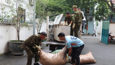 Phát hiện cơ sở chế biến chui số lượng lớn mỡ lợn bẩn ở Phú Thọ