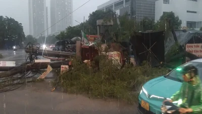 Mưa giông lớn bất ngờ, nhiều cây ở Hà Nội bị đổ